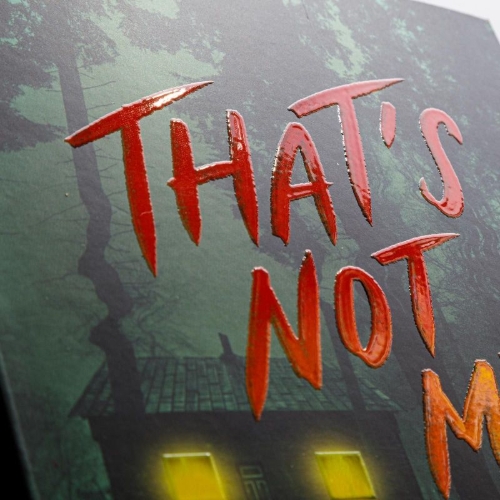 Buchcover und Innenansicht für das Buch: That's not my name