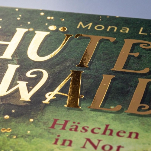 Buchcover und Innenansicht für das Buch: Forest Guardian
