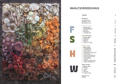 Buchcover und Innenansicht für das Buch: Pilze, Pilze, Pilze