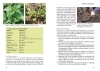 Buchcover und Innenansicht für das Buch: Unser naturnaher Kleingarten
