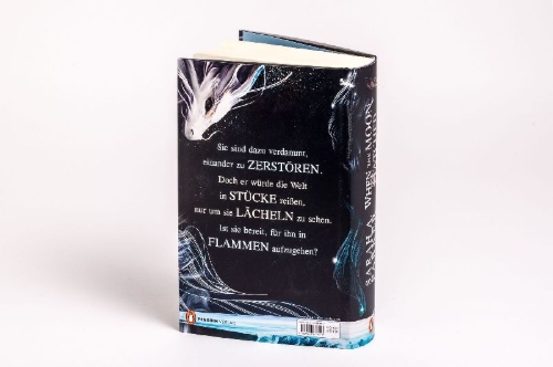 Buchcover und Innenansicht für das Buch: When The Moon Hatched