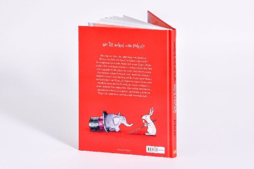Buchcover und Innenansicht für das Buch: Herwig und Elsie - Wo ist der große Zauberer?