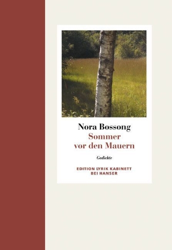 Buchcover und Innenansicht für das Buch: Sommer vor den Mauern