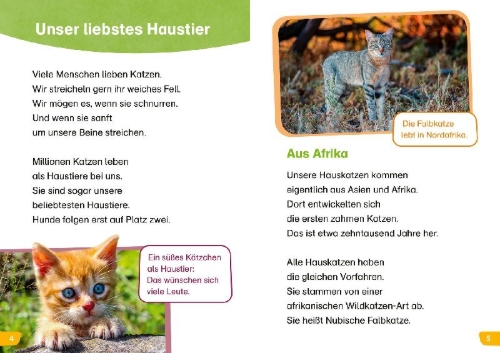 Buchcover und Innenansicht für das Buch: WAS IST WAS Erstes Lesen easy! Katzen - meine Lieblingstiere