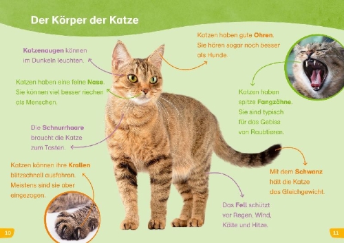 Buchcover und Innenansicht für das Buch: WAS IST WAS Erstes Lesen easy! Katzen - meine Lieblingstiere