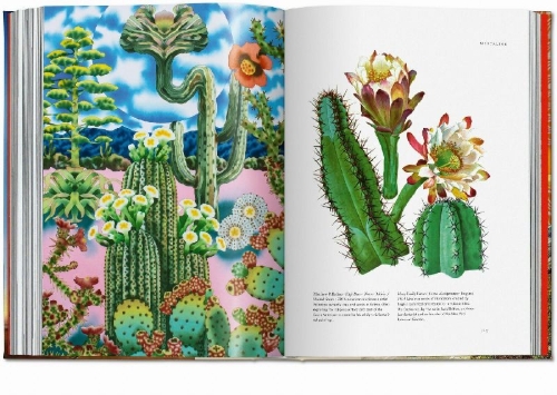 Buchcover und Innenansicht für das Buch: Plant Magick. The Library of Esoterica