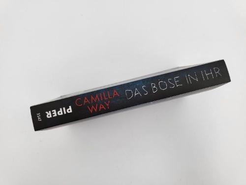 Buchcover und Innenansicht für das Buch: The Lies We Told