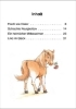 Buchcover und Innenansicht für das Buch: Leselöwen 1. Klasse - Das neue Pferd in der Reitschule