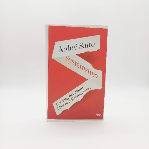 Buchcover und Innenansicht für das Buch: Systemsturz