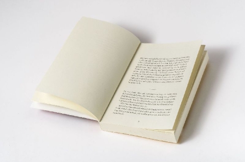 Buchcover und Innenansicht für das Buch: Halbinsel