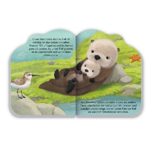 Buchcover und Innenansicht für das Buch: TRÖTSCH - Pappenbuch Der kleine Otter| Ab 1 Jahr