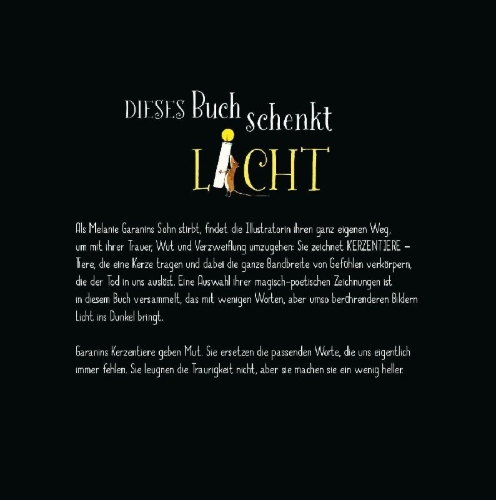 Buchcover und Innenansicht für das Buch: Was bleibt, ist Licht