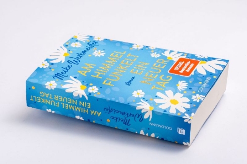 Buchcover und Innenansicht für das Buch: Am Himmel funkelt ein neuer Tag