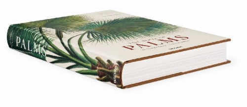 Buchcover und Innenansicht für das Buch: Martius