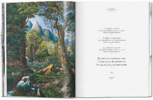 Buchcover und Innenansicht für das Buch: Martius