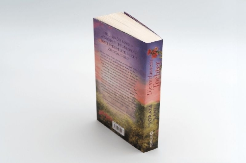 Buchcover und Innenansicht für das Buch: The Spanish Daughter