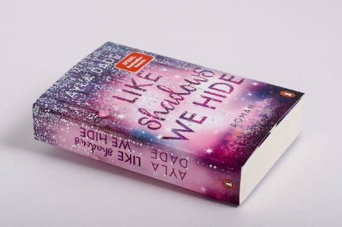 Buchcover und Innenansicht für das Buch: Like Shadows We Hide