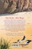 Buchcover und Innenansicht für das Buch: Maries Glücksküche - Die Schule am Meer