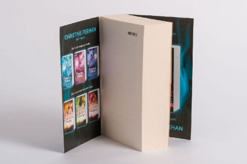 Buchcover und Innenansicht für das Buch: Shadow Rider - The Shadow Series Book 1