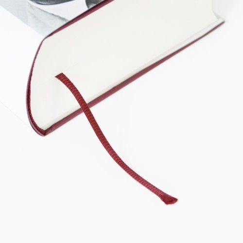 Buchcover und Innenansicht für das Buch: 'Wir haben es nicht gut gemacht.'