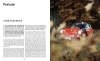 Buchcover und Innenansicht für das Buch: Porsche 911