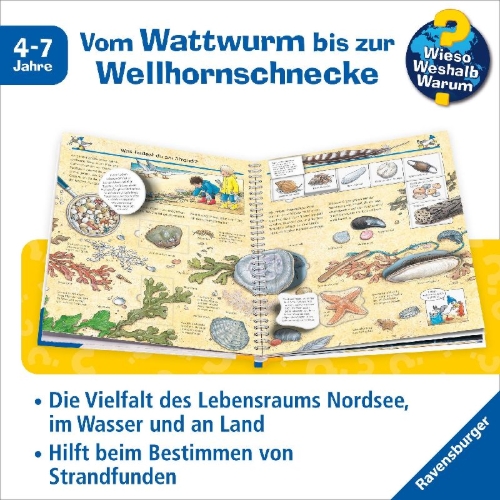 Buchcover und Innenansicht für das Buch: Wieso? Weshalb? Warum?, Band 17: Komm mit ans Meer