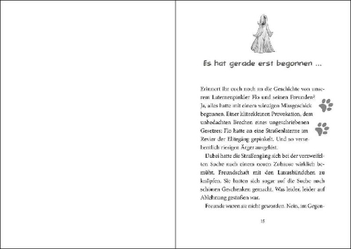 Buchcover und Innenansicht für das Buch: Die Straßengäng (Band 2) - Gut getrickst ist halb gewonnen