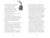 Buchcover und Innenansicht für das Buch: Hilfe, zu viele Zaubereulen!
