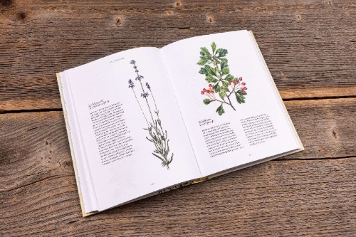 Buchcover und Innenansicht für das Buch: Die Kräuter-Apotheke für unsere Organe