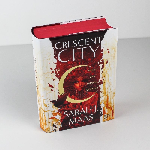 Buchcover und Innenansicht für das Buch: Crescent City - House of Earth and Blood