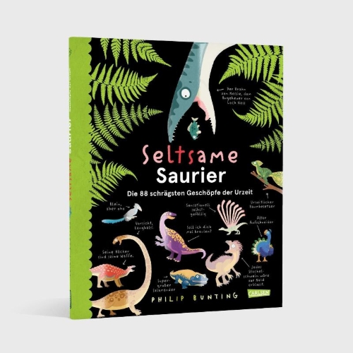 Buchcover und Innenansicht für das Buch: Weirdosaurus