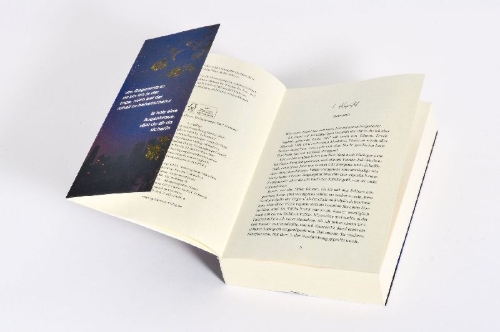 Buchcover und Innenansicht für das Buch: Indiscretion