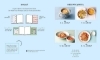 Buchcover und Innenansicht für das Buch: Kochen für Babys