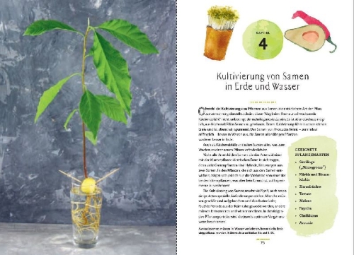 Buchcover und Innenansicht für das Buch: no-waste litchen gardening