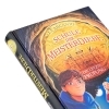 Buchcover und Innenansicht für das Buch: Crookhaven: The Thieves' Revenge