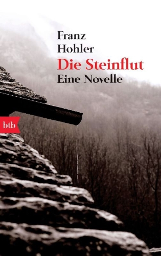 Buchcover und Innenansicht für das Buch: Die Steinflut