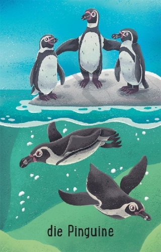 Buchcover und Innenansicht für das Buch: Schnapp und weg! Das superschnelle Kartenspiel: Im Zoo