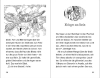 Buchcover und Innenansicht für das Buch: Flaymar the Scorched Blaze