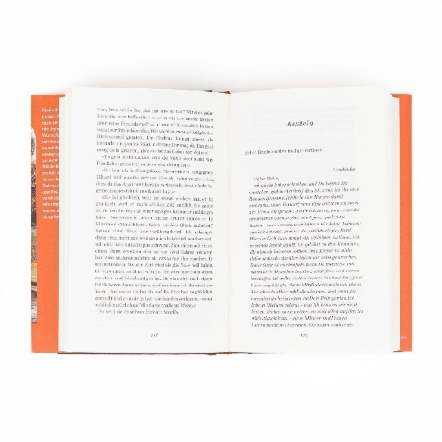 Buchcover und Innenansicht für das Buch: The Longest Journey