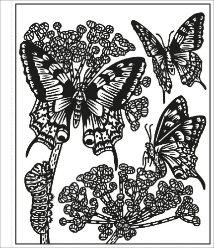 Buchcover und Innenansicht für das Buch: Mein Farbenzauber-Malbuch: Die bunte Welt der Insekten