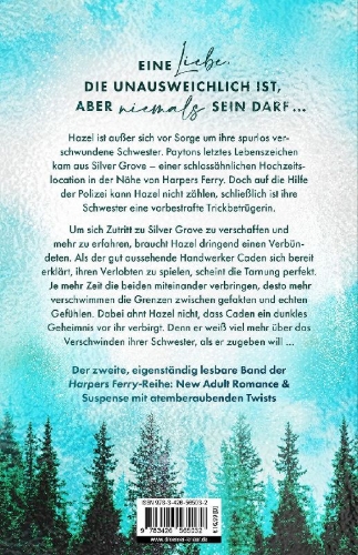 Buchcover und Innenansicht für das Buch: Silver Grove. Break Me Twice