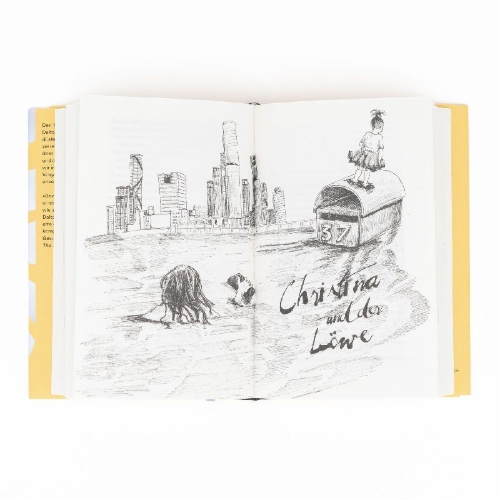 Buchcover und Innenansicht für das Buch: Lola in the Mirror