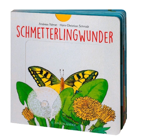 Buchcover und Innenansicht für das Buch: Schmetterlingwunder