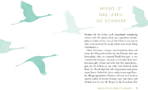 Buchcover und Innenansicht für das Buch: Das kleine Buch vom leichten Leben