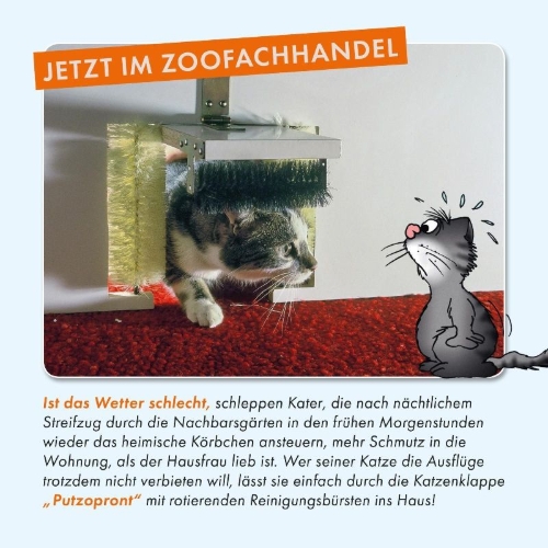 Buchcover und Innenansicht für das Buch: Viel Spaß mit Katzen