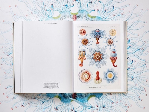 Buchcover und Innenansicht für das Buch: The Art and Science of Ernst Haeckel