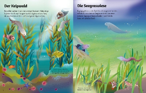 Buchcover und Innenansicht für das Buch: Mein erstes Stickerbuch: Leben im Meer