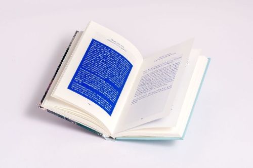 Buchcover und Innenansicht für das Buch: Lebensversicherung