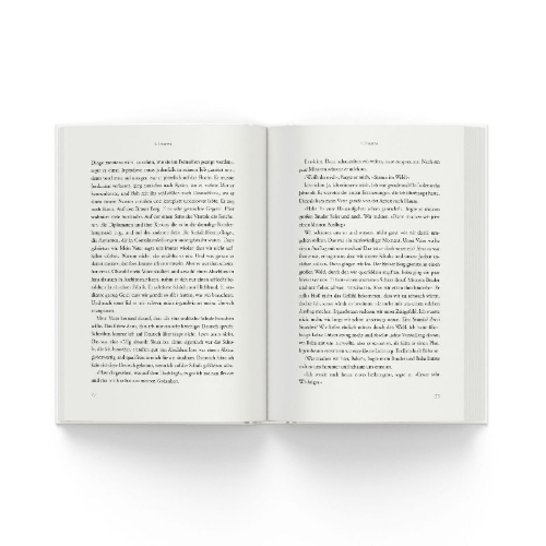 Buchcover und Innenansicht für das Buch: Das Kapitel, das fehlt