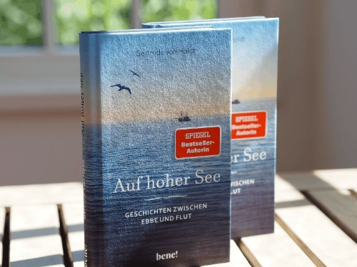Buchcover und Innenansicht für das Buch: Auf hoher See